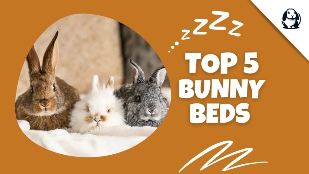 Top 5 Bunny Beds on Amazon