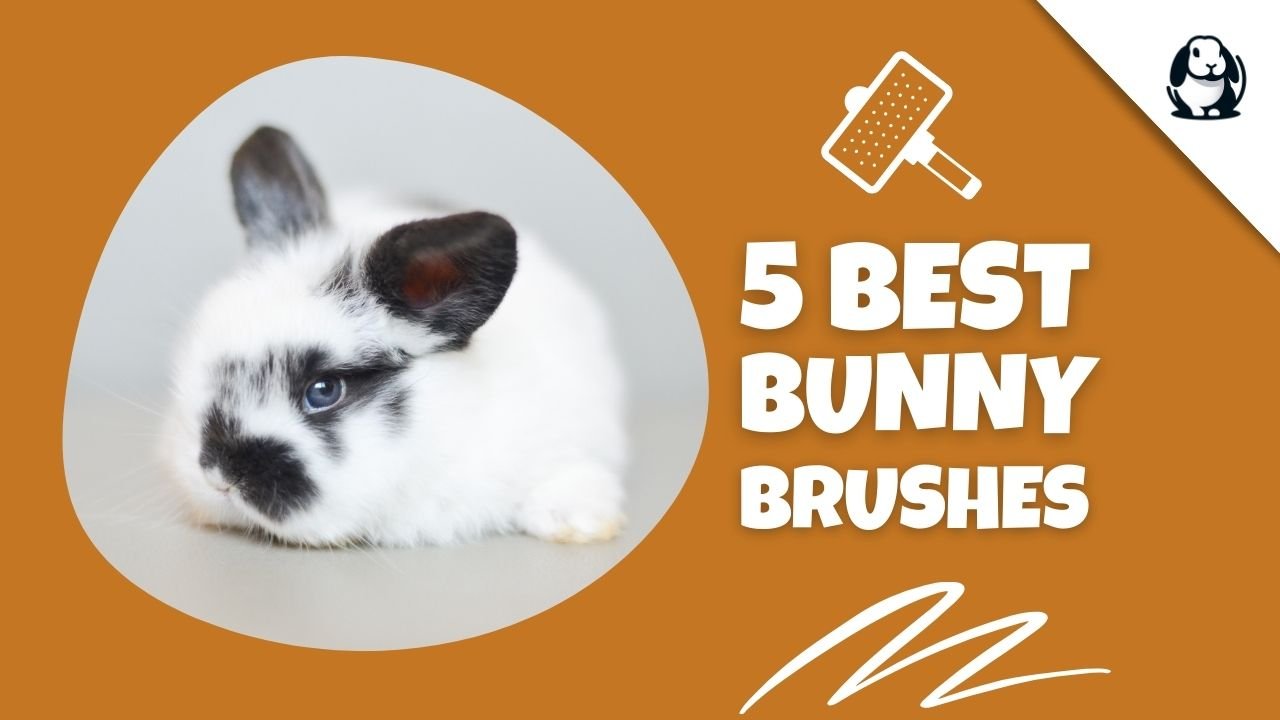 Brushes for online bunnies